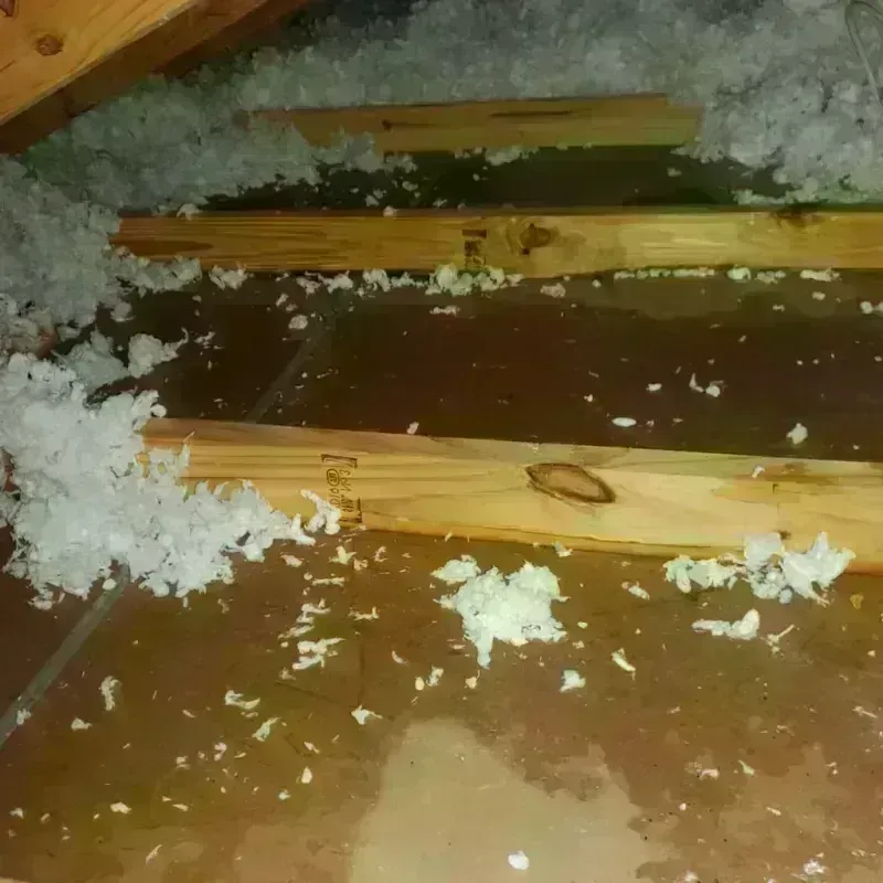 Attic Water Damage in Stoneville, NC