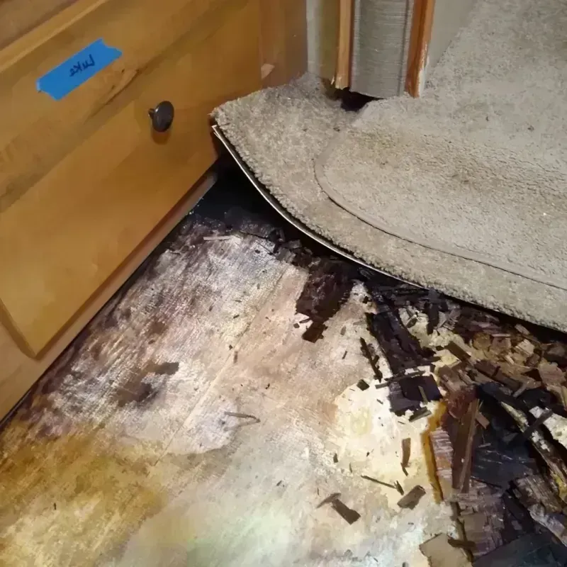 Best Wood Floor Water Damage Service in Stoneville, NC